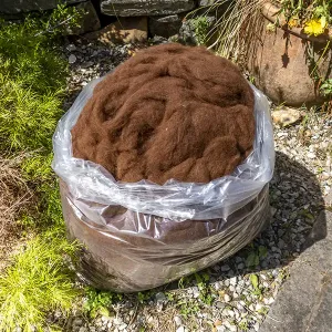 A bulk amount of carded brown alpaca fibe