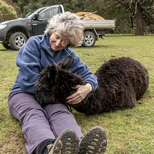 Christine is sitting on the ground patting a black alpaca