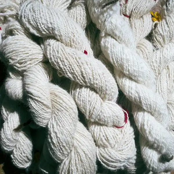 Carded white alpaca fibre has been spun into skeins of yarn.
