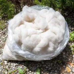 A one kilo bag of carded white alpaca fibre